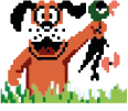 Duck Hunt